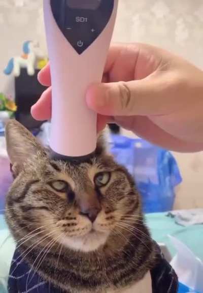 That Must Feel Good