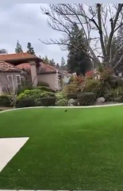 Maybe maybe maybe