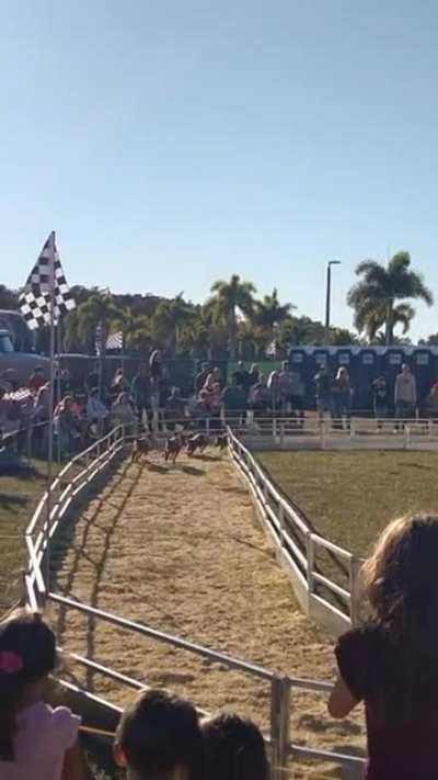 What do you enjoy the most about the Fair? I thoroughly enjoyed "Pork Roast Malone".