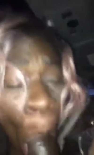 Cat bj
