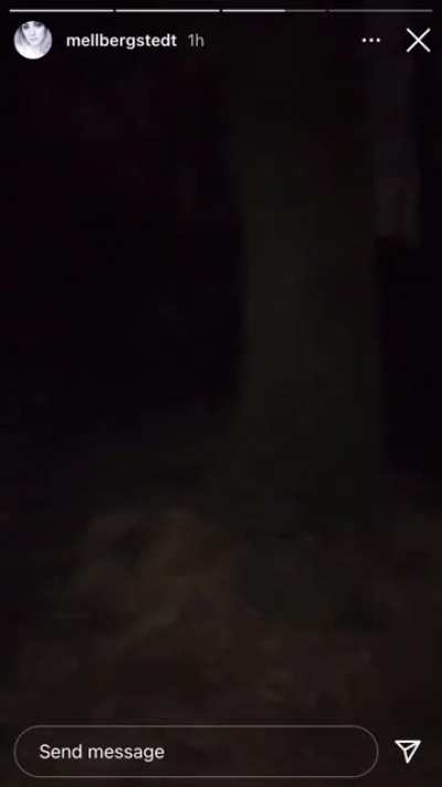 Demonic looking thing peaking out behind the tree!?