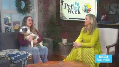Today In Nashville. WSMV4 TV. December 16th 2025