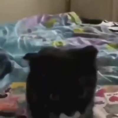 Naughty boy