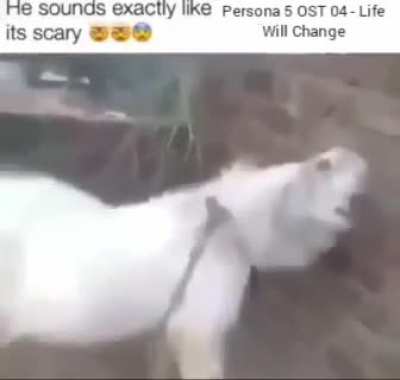 How does he do it😨😨😨