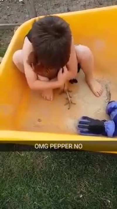 PEPPER NO