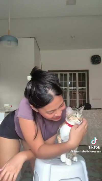 Kitty