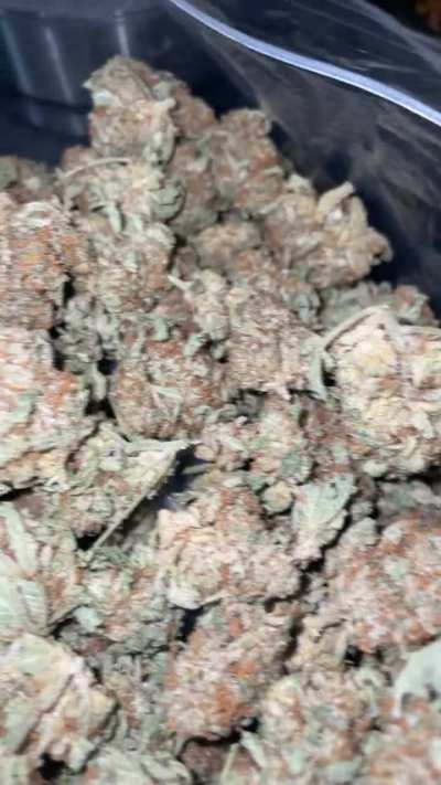 Reload on some dog 🐶