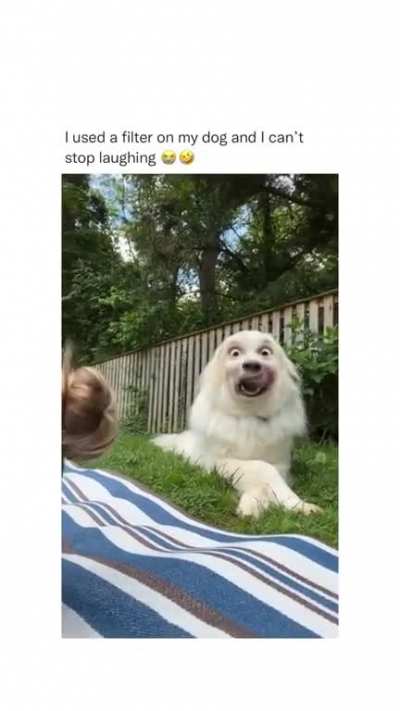 TRY NOT TO LAUGH