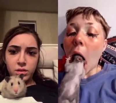 I don't know what to say.