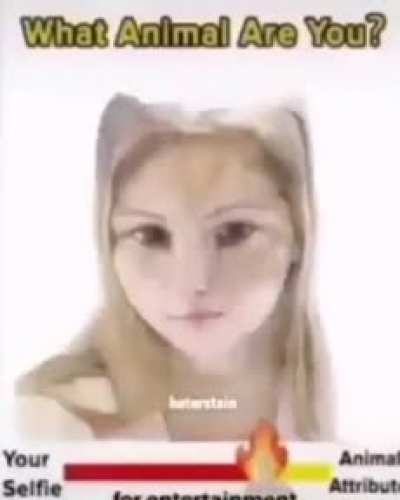 Que animal &eacute; voc&ecirc;?