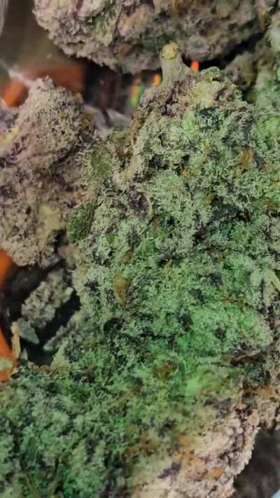 What you smokin on? 