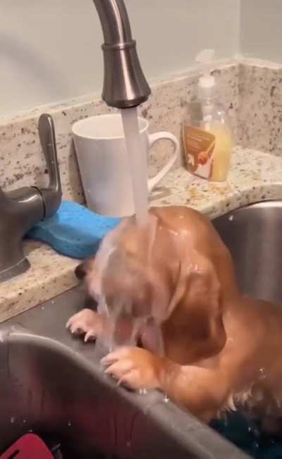 Bath time