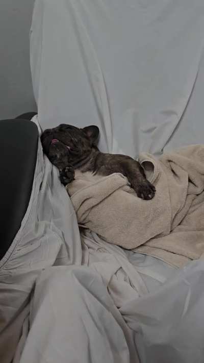 sue&ntilde;o 😴😴🤣