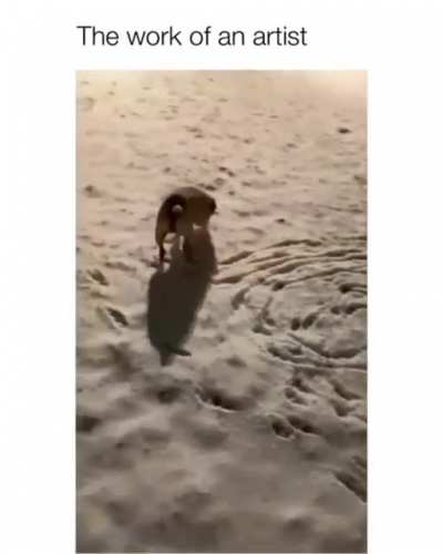 Playing in the snow