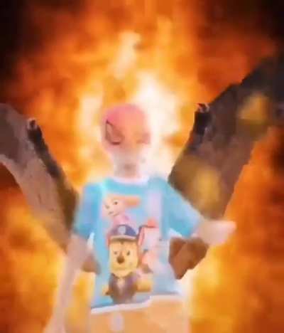 me gelei de medo