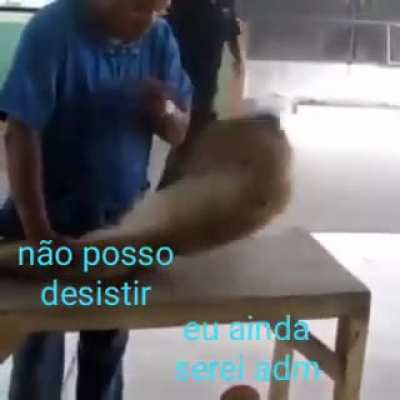 N&atilde;o vou desistir!!!