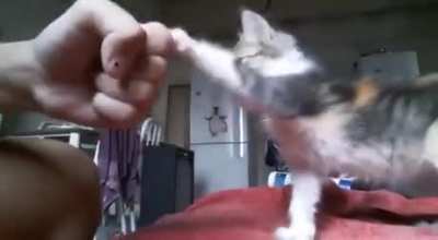 High five, bro