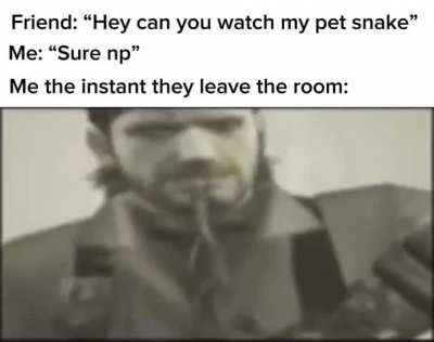 Hideo Snake Eater
