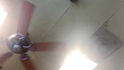 52" Regency Mx Excel Ceiling Fans At A Subway