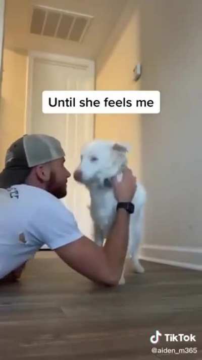 How waking up a deaf and blind dog looks like!