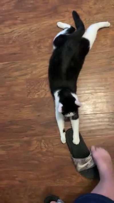 He won&rsquo;t give me back my shoe!!