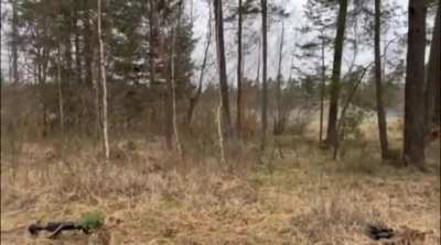 An American is told there is a camouflaged Ukrainian soldier nearby. - "Ok, Tell him to stand up"