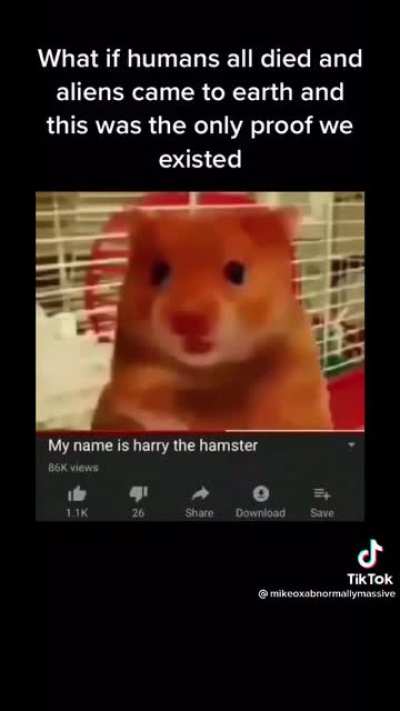 no rules