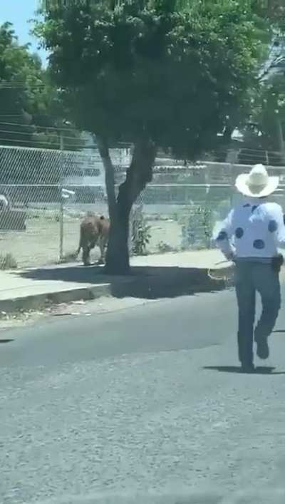Vida Salvaje: M&eacute;xico M&aacute;gico