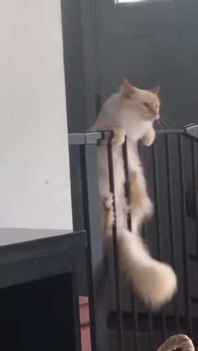 Hanging On
