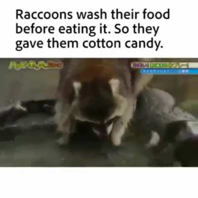 OwO