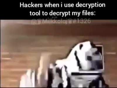 {insert a funny and original title here}