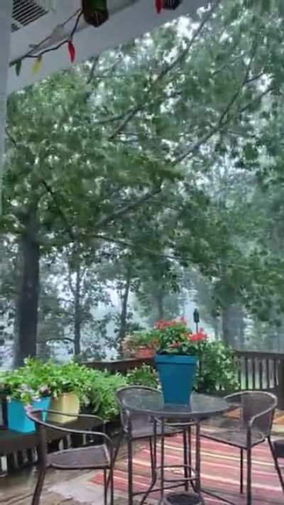 My mom&rsquo;s backyard right now! Little Rock, AR