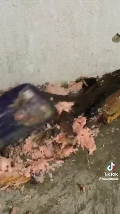 How to skin and debone a fish