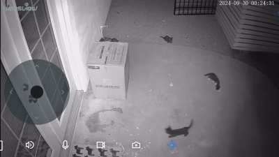 Needed a good omen? Last night in this apartment&hellip; :)