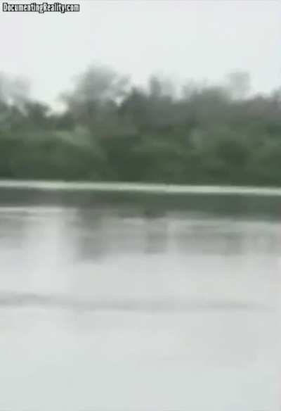 Swimming in the restricted part and ignoring all the gator warnings.