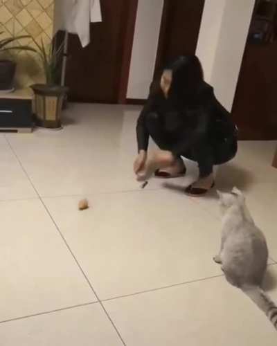 "a anima&ccedil;&atilde;o &eacute; vis&iacute;vel"