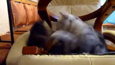 Sneak Attack