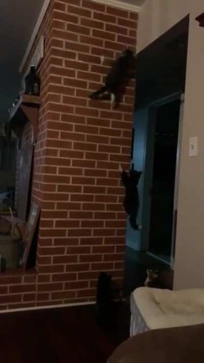 Not quite the climbing master yet