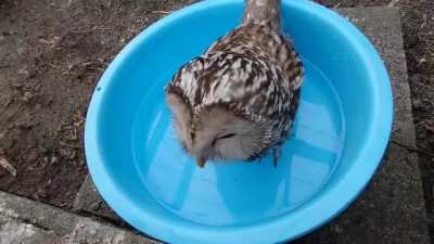 From such delicious water, even the eyes close by themselves =)