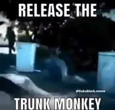 Trunk monkey