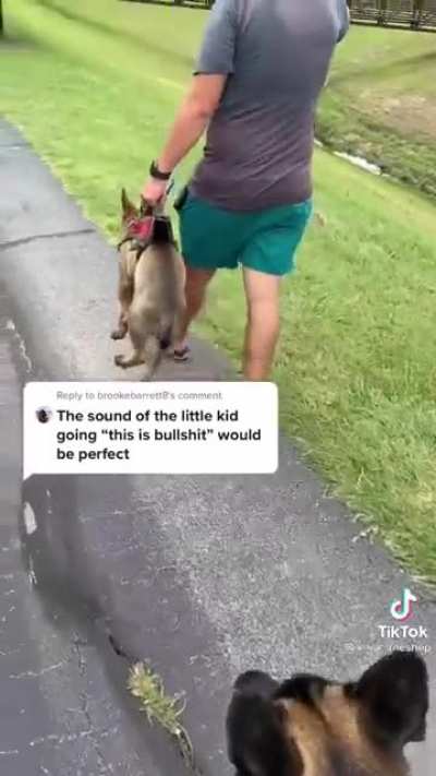 This is bullshit