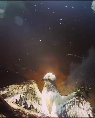 Why you don&rsquo;t dump fishing line.