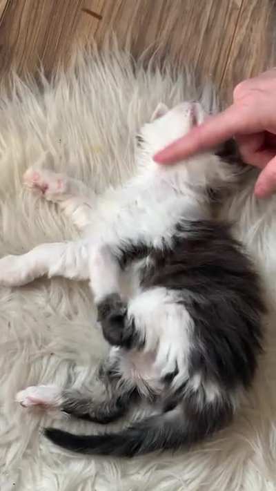Bappita bappita bappita *mew*