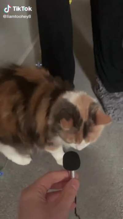 He has ascended
