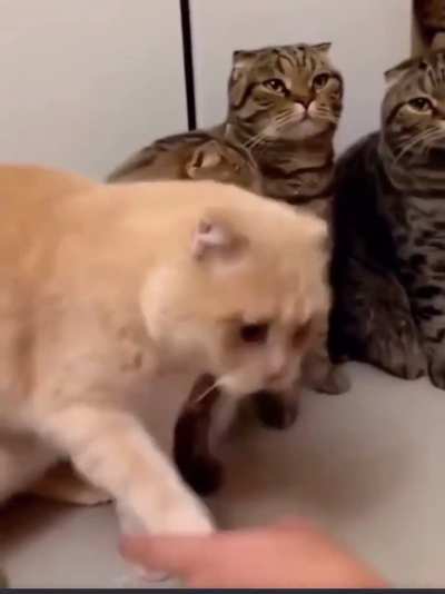 Maybe Maybe Maybe