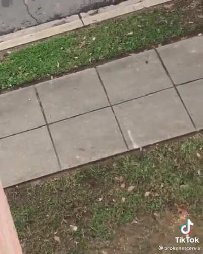 &ldquo;Taking a deep deew on the side of my building&rdquo;😭😭
