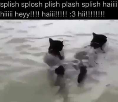 Wet wunks