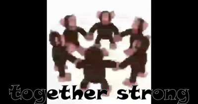 Monke