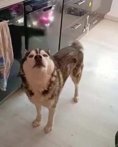Quite the voice