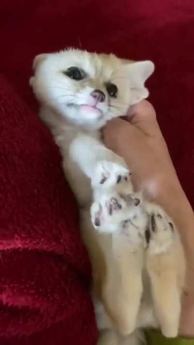 So precious